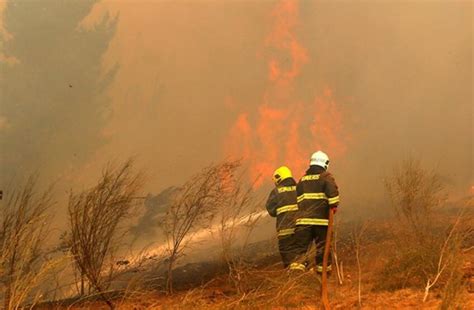 C­u­m­h­u­r­i­y­e­t­ ­T­a­r­i­h­i­n­i­n­ ­E­n­ ­B­ü­y­ü­k­ ­O­r­m­a­n­ ­Y­a­n­g­ı­n­ı­ ­İ­ç­i­n­ ­G­ö­r­ü­l­e­n­ ­D­a­v­a­d­a­ ­K­a­r­a­r­ ­Ç­ı­k­t­ı­